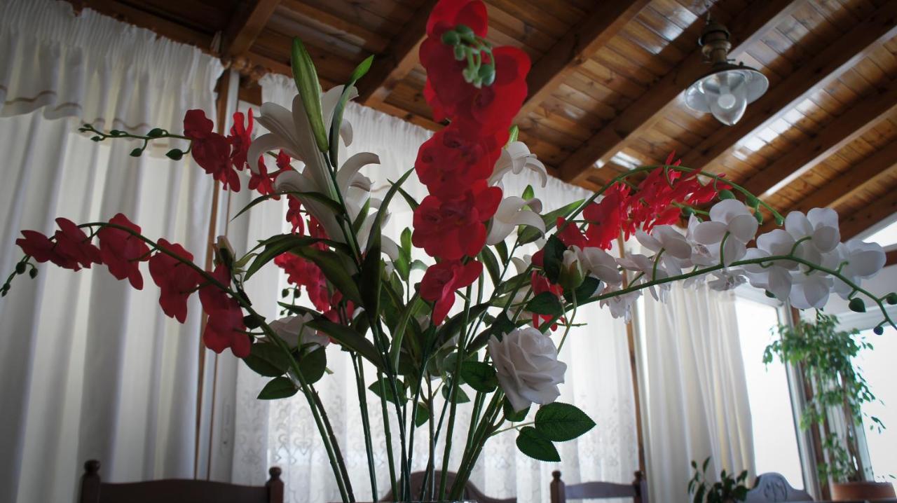 Stavros Amazing Apartment In The Centre Of Kos ภายนอก รูปภาพ